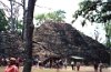 Copain (Mayan Ruins) - Honduras