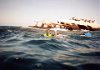 Aruba - snorkeling at the wreckage of the Antila (German ship).