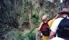 Sharon and Mark waling in Rain forest Experience, Puerto Rico.