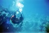 Mark diving at Half Moon Cay, Bahamas.