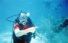 Mark diving at Half Moon Cay, Bahamas.