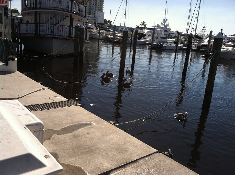 2016 Cruise Brendas Phone 03