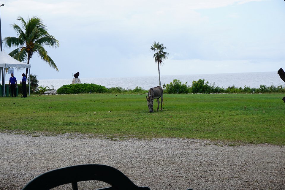 2016 Cruise Mark Camera 052