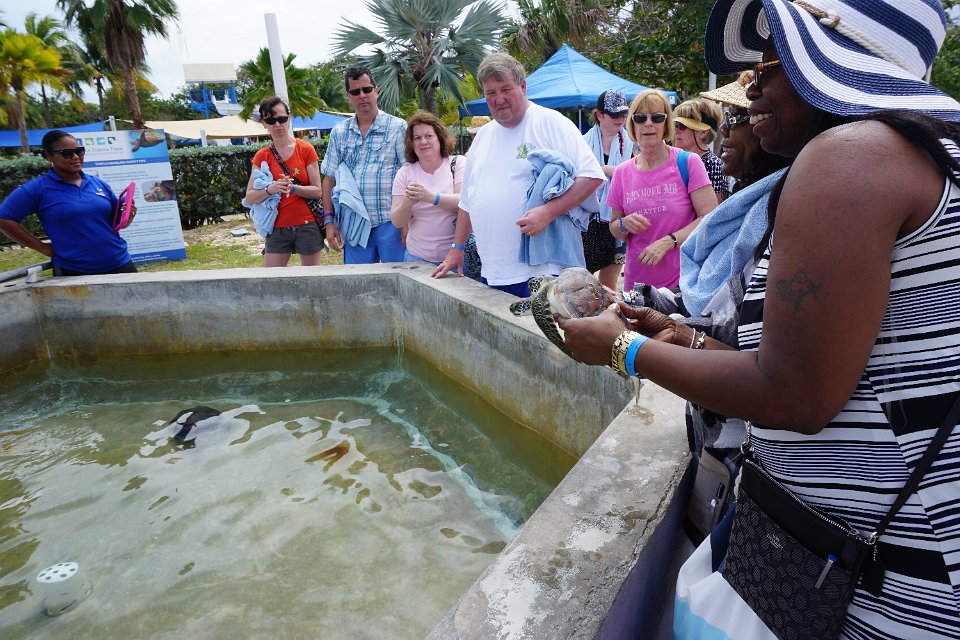 2016 Cruise Mark Camera 063