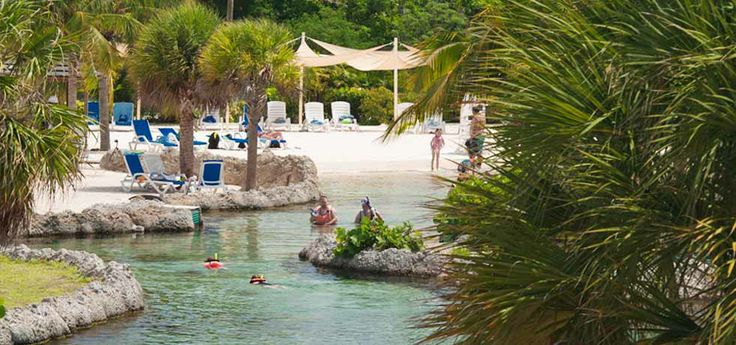 Turtle Farm Grand Cayman4