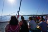 Looking toward the front of the Catamaran while underway (Falmouth, Jamaica).