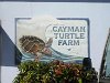 Turtle Farm sign (Grand Cayman).