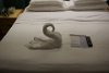 Towel made into a Swan.