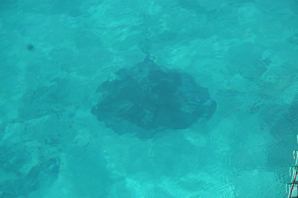 Dsc07548