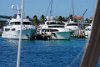 Coming back from Blue Lagoon Island Bahamas