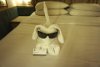 Towel Dog left by our cabin person Angeica