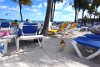 Free range rooster at CocoCay