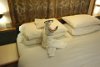 Towel animal in room