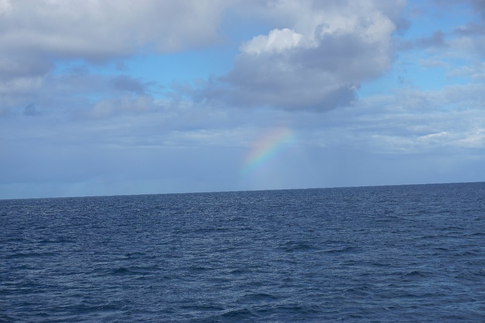 DSC08378