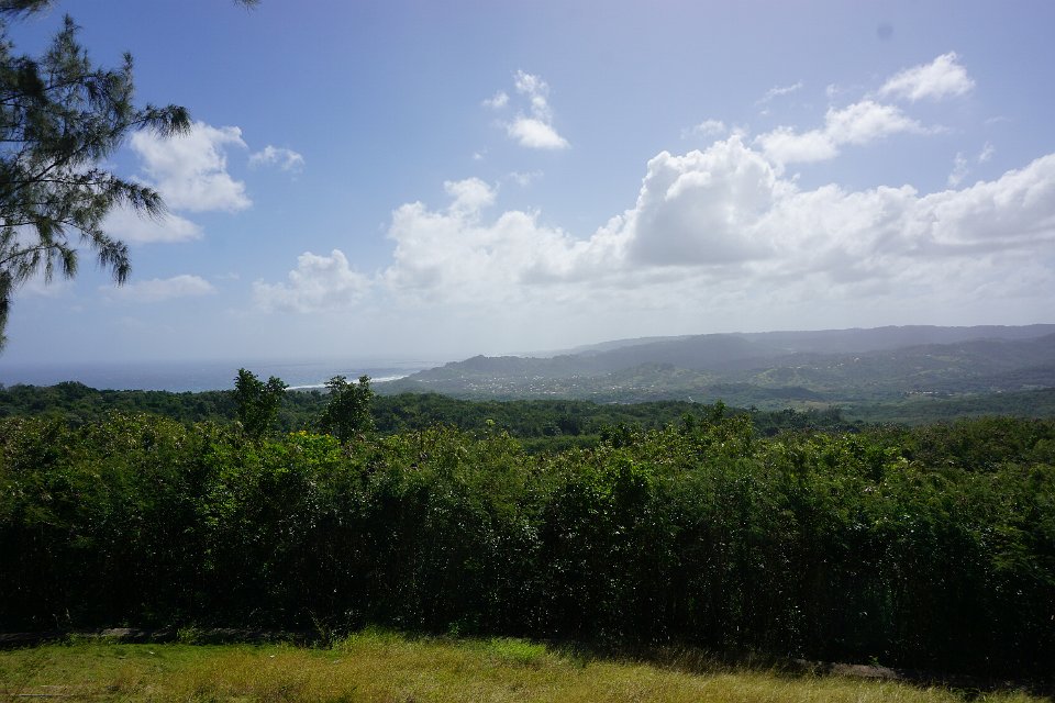 DSC08508