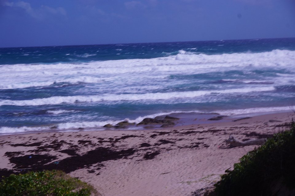 DSC08513