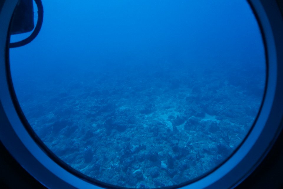 DSC08514