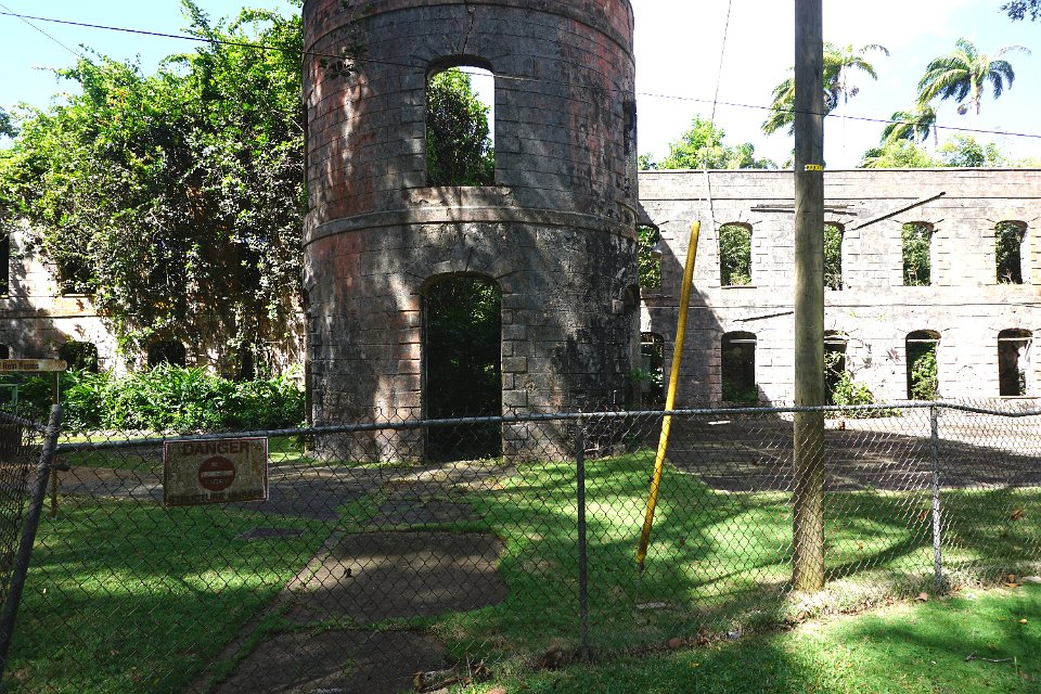 Dsc08509