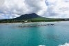 Pelecans resting off shore on Nevis island