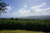 View of Barbados.
