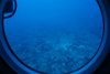 Submarine tour down to 150 ft, Barbados