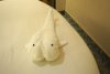 Back to room from St. Johns Antigua.  Nice whale towels.