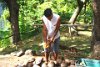 How to husk a coconut with a Spike.