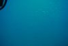 Submarine tour down to 150 ft, Barbados