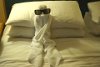 Nice towel figure when got back from Barbados.