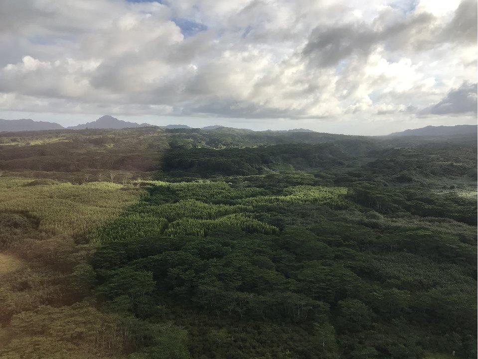 Img 2574