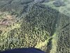 View of from helicopter Grand Circle Island Tour (trees appear to be planted in rows)