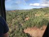 Lots of trees and vegitation on Kauai (The Garden Island)
