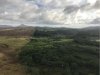 Back to lots of trees and vegetation