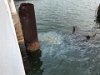 Oil still seeping from Arizona fuel tanks (called black tears)