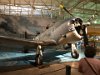 Douglas SBD Dauntless Dive Bamber (the holes in the split flaps helped it dive straight down without over speeding)