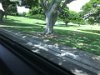 National Memorial Cemetery of the Pacific at Punchbowl (Honolulu)