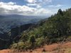 Waimea Canyon (Grand Canyon of Kauai)