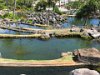 Fish in terrace pools (view from the lobby)