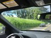Typical vegitation along all roads in Kauai (The Garden Isle)