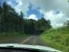 Typical vegitation along all roads in Kauai (The Garden Isle)