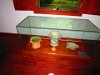 IMG 5648