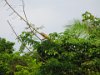 IMG 5807