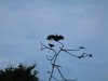 IMG 5853