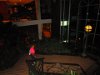 IMG 5871