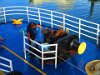 IMG 5899