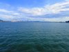 IMG 5919