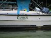 IMG 6082
