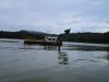 IMG 6084