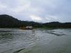 IMG 6085
