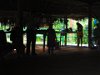 IMG 6097
